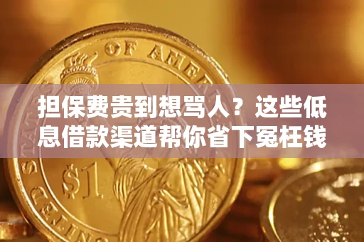 济南担保费贵到想骂人？这些低息借款渠道帮你省下冤枉钱