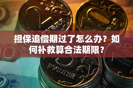 济南担保追偿期过了怎么办？如何补救算合法期限？