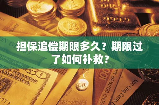 济南担保追偿期限多久？期限过了如何补救？