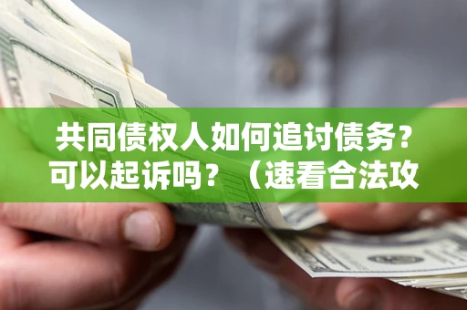 济南共同债权人如何追讨债务？可以起诉吗？（速看合法攻略）
