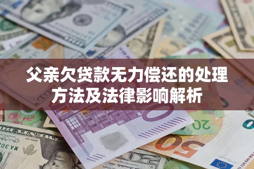 济南父亲欠贷款无力偿还的处理方法及法律影响解析